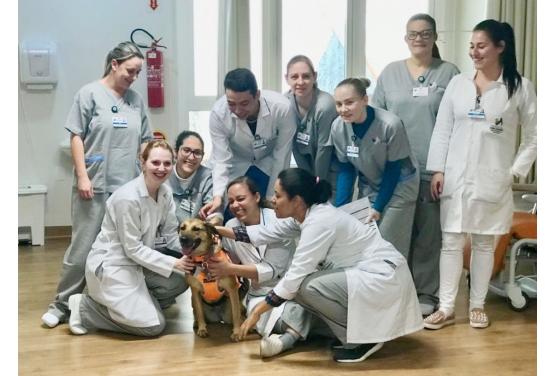 Projeto Toninho Pet: Mayla visita o novo setor de oncologia do HSA