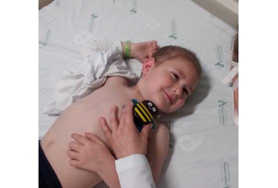 Novo Ultrassom 3D/4D colorido e Abelhinha contra a dor