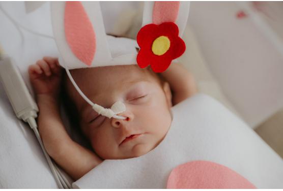 Hospital Santo Antônio realiza ensaio temático de Páscoa com bebês internados