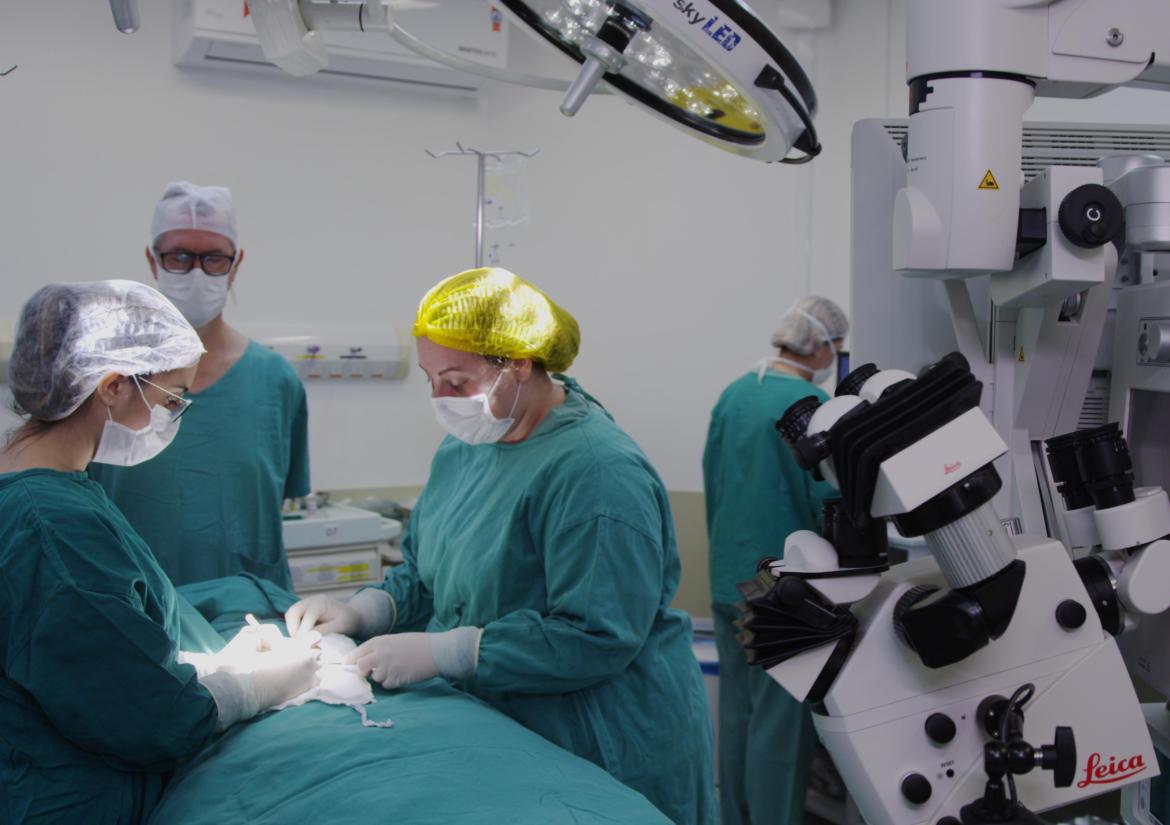 Cirurgia Bariátrica