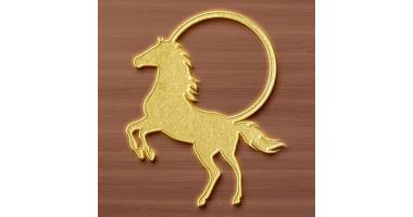 Fazzenda Park Resort