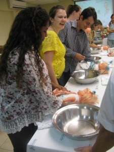 1461078_777482398943863_492958278_n