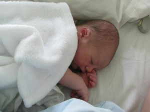 1656265_1039870569371710_4997908537723440748_n