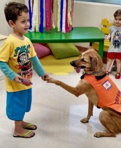 17203965_1070346036402699_685563290_n